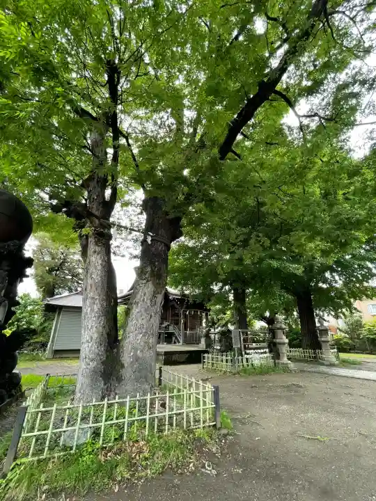八幡橋八幡神社(神奈川県)