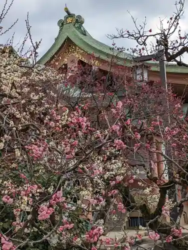北野天満宮(京都府)