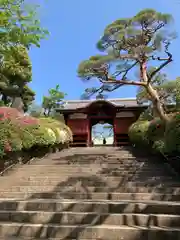 護国寺(東京都)