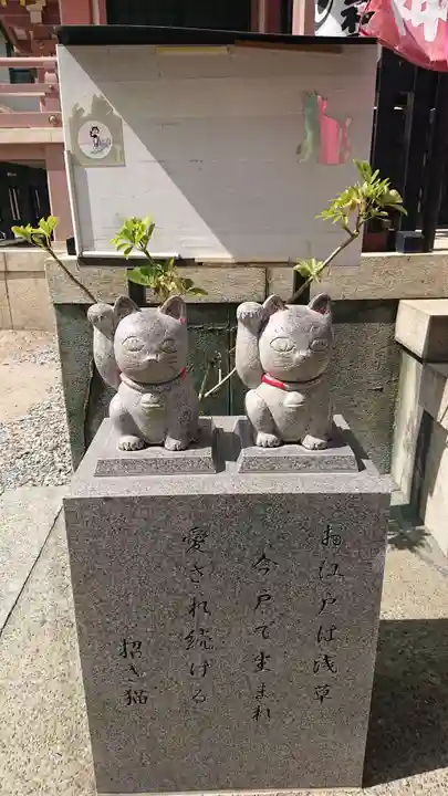 今戸神社の狛犬