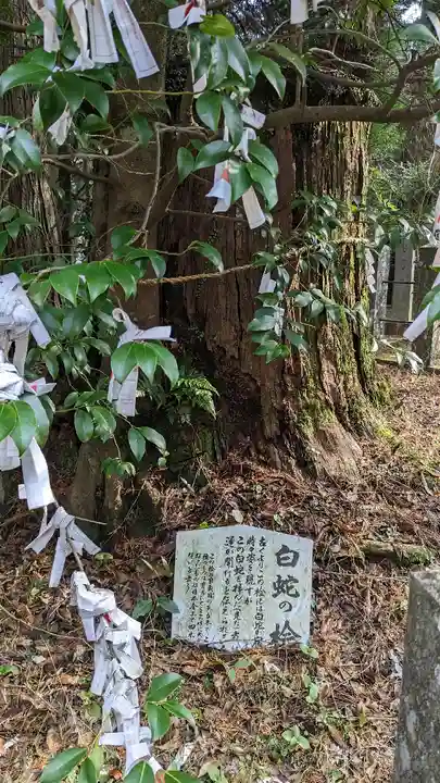 国造神社の自然