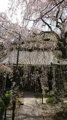 専称寺の本殿・本堂