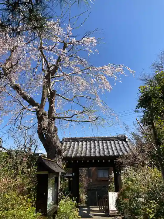 光照寺(神奈川県)