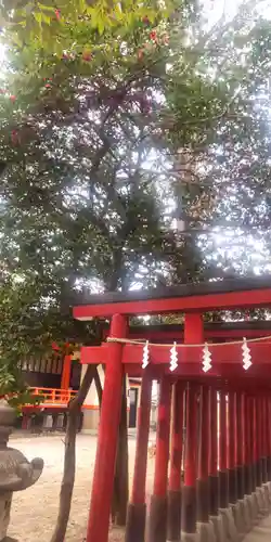 花園神社(東京都)
