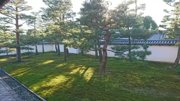 相国寺(相国承天禅寺)(京都府)