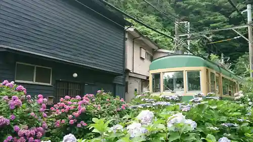 御霊神社の周辺