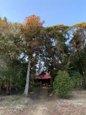 皇産霊神社の自然