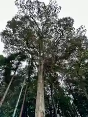 鴨都波神社(奈良県)