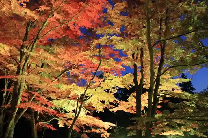 土津神社|こどもと出世の神さまの景色