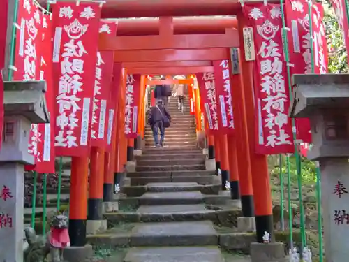 佐助稲荷神社の鳥居