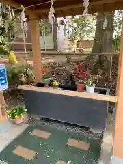 下野 星宮神社の手水