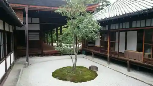 建仁寺（建仁禅寺）の庭園