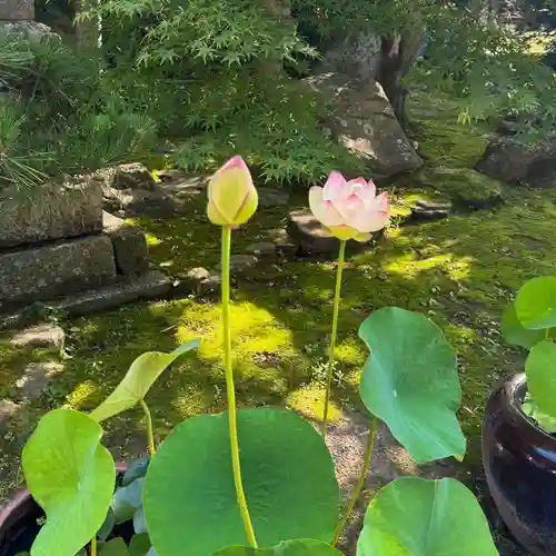 伊勢の国 四天王寺(三重県)
