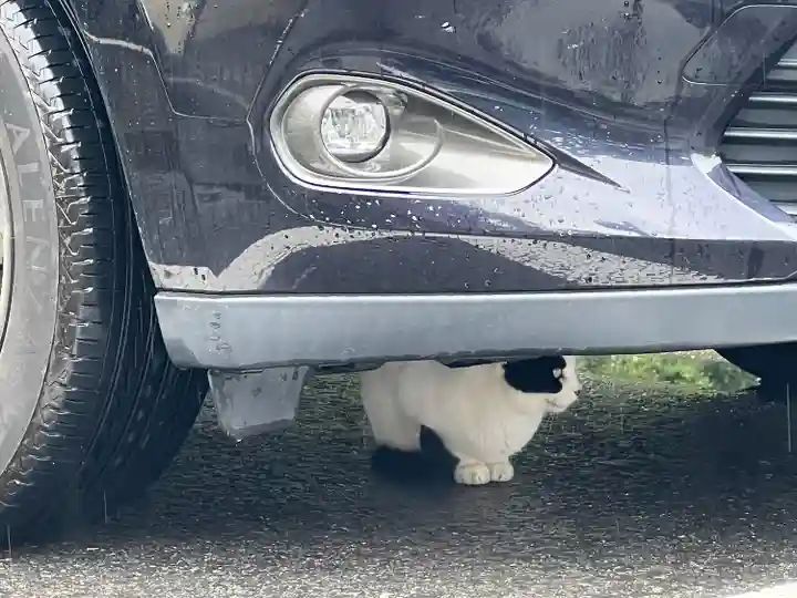 唐澤山神社(栃木県)