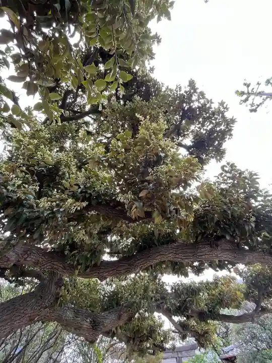 薭田神社(東京都)