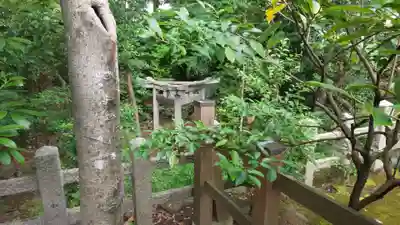 木嶋坐天照御魂神社(京都府)