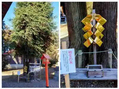 長沼八幡宮(栃木県)