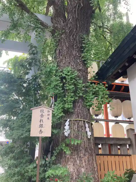 波除神社(波除稲荷神社)(東京都)