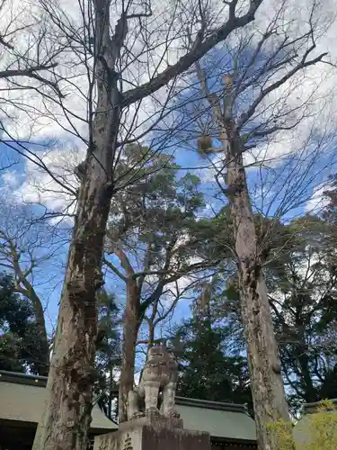 一言主神社(茨城県)