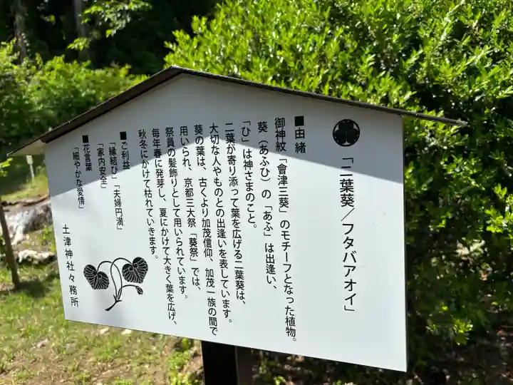 土津神社|こどもと出世の神さま(福島県)