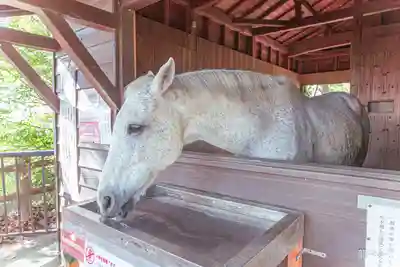鹿児島神宮(鹿児島県)