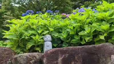柳谷観音　楊谷寺(京都府)