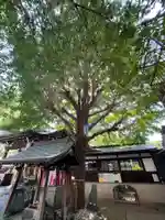 宇迦八幡宮(東京都)