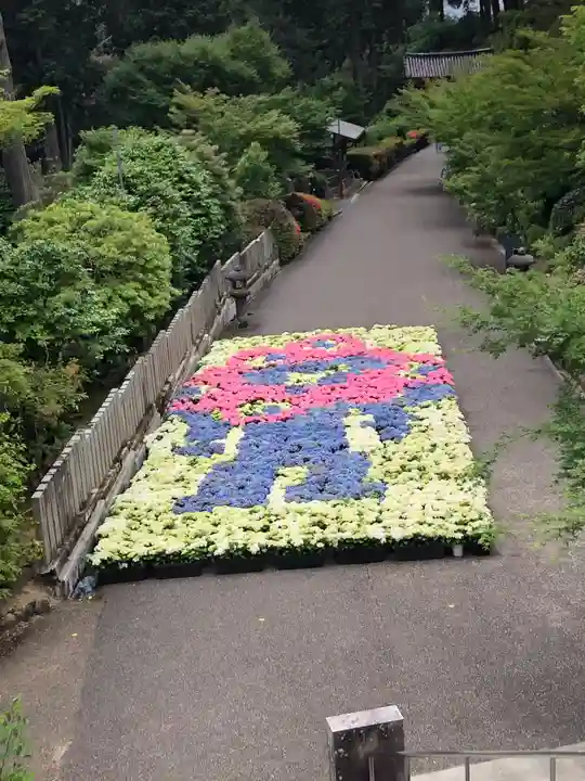 三室戸寺(京都府)
