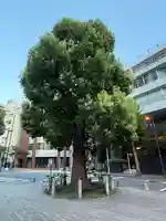 太田姫稲荷神社(東京都)