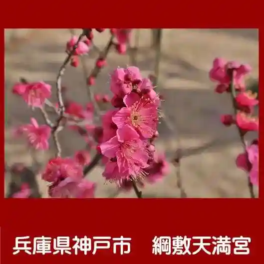 綱敷天満宮の自然