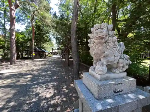 琴似神社の狛犬