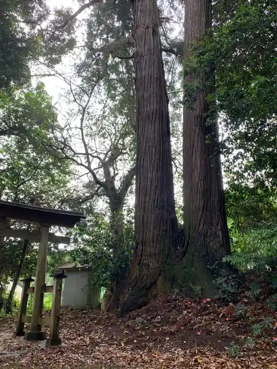 妙見神社(千葉県)