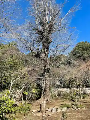 天翁院(栃木県)