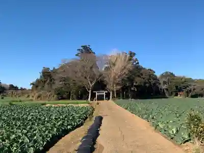 諏訪大神(千葉県)