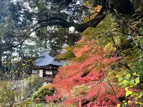 弘川寺(大阪府)