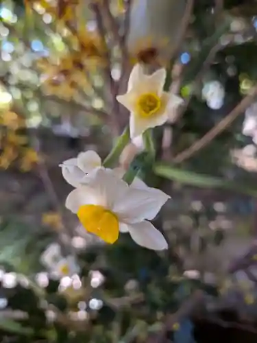赤坂氷川神社(東京都)