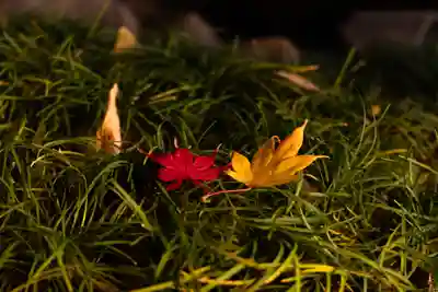 諏訪大社下社秋宮(長野県)