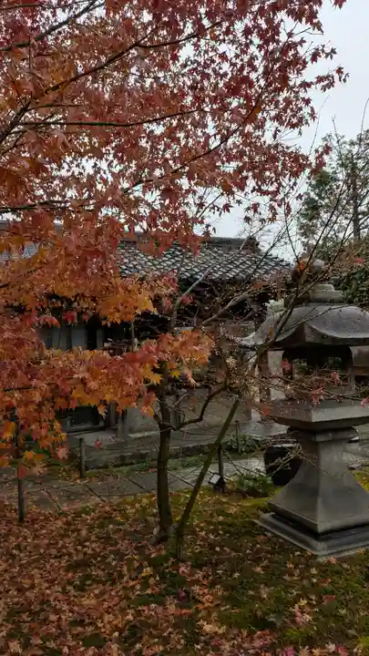 勝林寺(京都府)