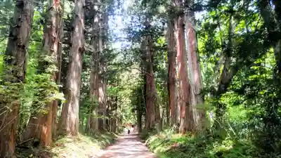 戸隠神社奥社(長野県)