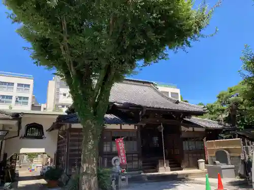 魚籃寺の本殿・本堂