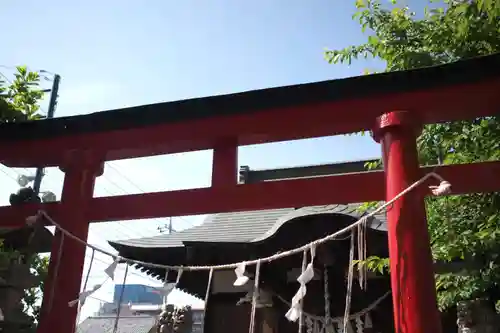 代田神社の鳥居