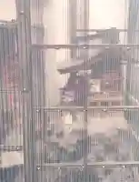 清水川稲荷神社(東京都)