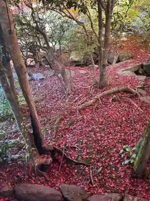毘沙門堂門跡(京都府)