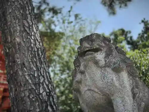 今宮神社(京都府)
