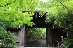 村雲御所瑞龍寺門跡の山門