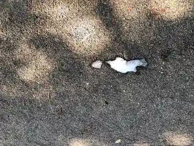 長寸神社(滋賀県)