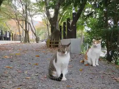 南禅寺(京都府)