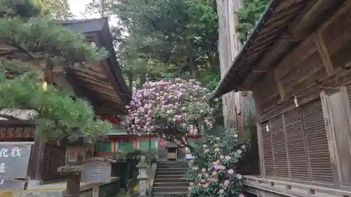 都祁水分神社の{uncategorized: "未分類", other: "その他", undefined: "問題あり", building: "その他建物", grave: "お墓", sacred_gate: "鳥居", guardian: "狛犬", statue: "像", buddha: "仏像", history: "歴史", nature: "自然", garden: "庭園", animal: "動物", pagoda: "塔", temizu: "手水舎", mountain_gate: "山門・神門", sanctuary: "本殿・本堂", subordinate: "末社・摂社", art: "芸術", scenery: "景色", jizo: "地蔵", ema: "絵馬", goshuin: "御朱印", omikuji: "おみくじ", items: "授与品その他", amulet: "お守り", goshuincho: "御朱印帳", eats: "食事", festival: "お祭り", votive_dance: "神楽", shichigosan: "七五三参", wedding: "結婚式", experience: "体験その他", initially: "初詣", around: "周辺", anti_infection: "感染症対策"}