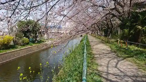氷川女體神社の周辺
