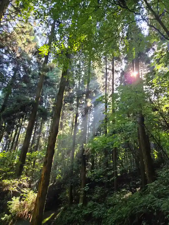 上色見熊野座神社(熊本県)